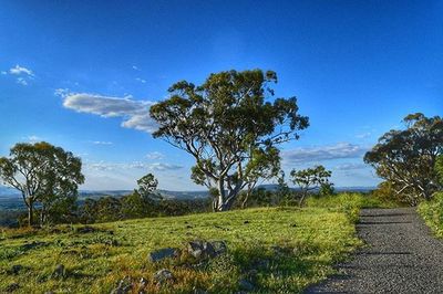 Scenic view of landscape against blue sky