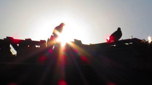 Low angle view of lit flying against bright sun