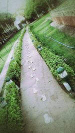 High angle view of footpath amidst grass in city