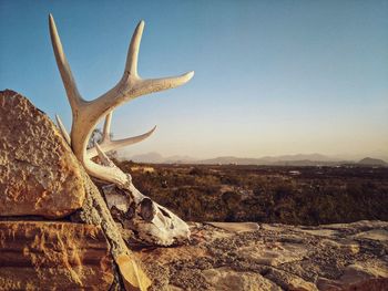 View of rock on landscape against clear sky