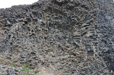 Close-up of rock on land