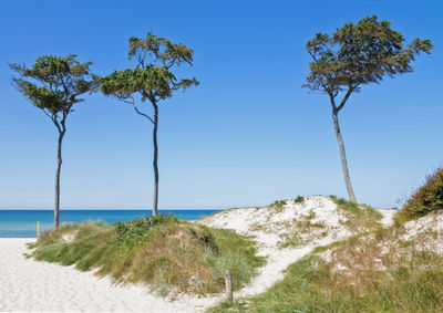 Scenic view of sea against clear blue sky