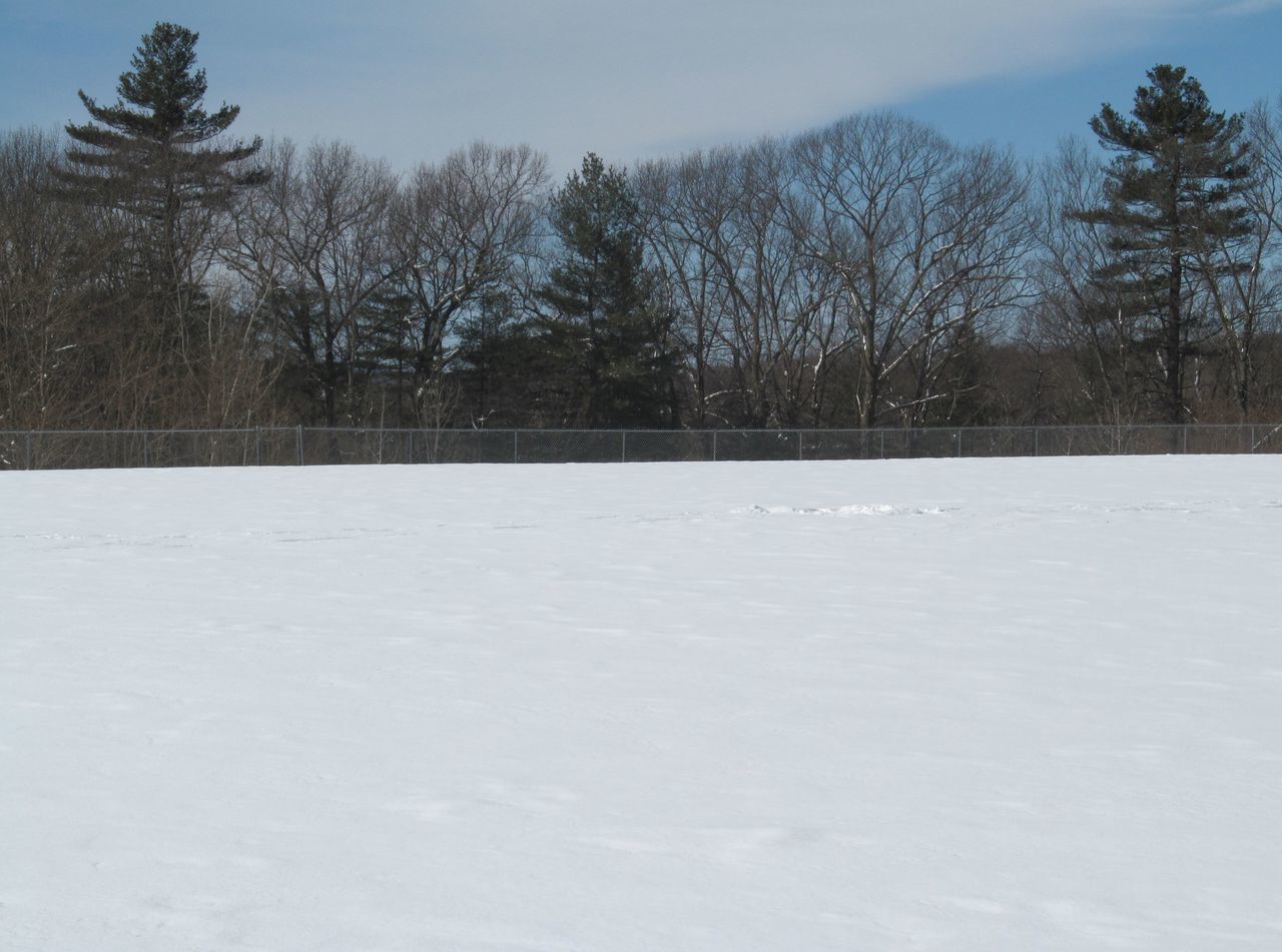 SNOW COVERED FIELD AGAINST SKY