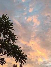 Low angle view of silhouette palm tree against orange sky