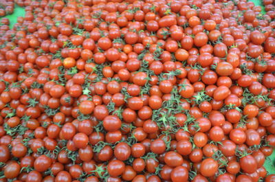 Full frame shot of tomatoes