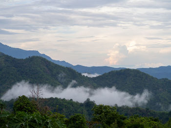 environment