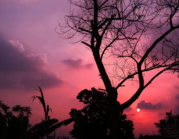 Low angle view of bare tree against sky