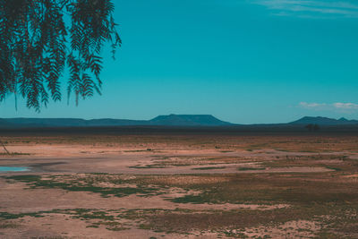 Scenic view of landscape against blue sky