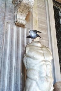 Low angle view of bird perching on statue