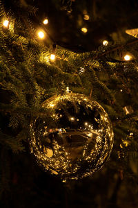 Illuminated christmas tree at night