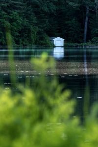 Scenic view of lake