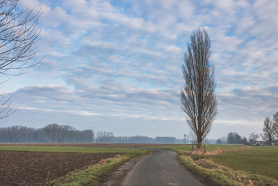 Road amidst agricultural field against sky