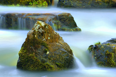 Scenic view of waterfall