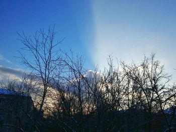 Low angle view of bare trees against sky