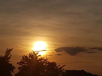 Silhouette trees against sky during sunset