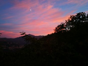 Silhouette of tree against sky during sunset