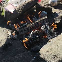 High angle view of fire on log