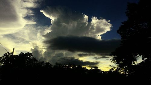 Low angle view of silhouette trees against sky