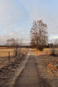 Road amidst bare trees on field against sky