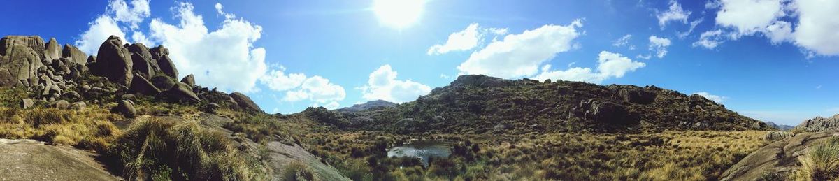 Panoramic shot of trees on countryside landscape