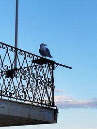 Low angle view of bird perching on pole against sky