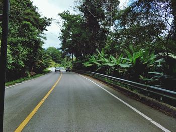 Empty road along trees