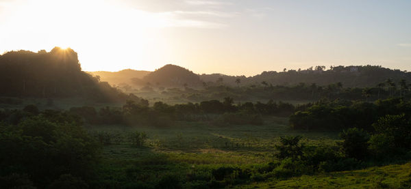 Scenic view of field against sky during sunset