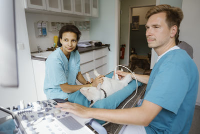 Young nurse assisting male veterinarian while performing ultrasound on dog in medical clinic