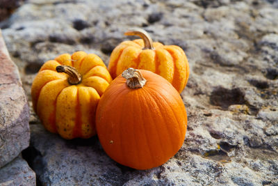 Close-up of pumpkins on rock