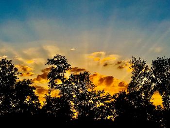 Low angle view of silhouette trees against sky during sunset