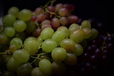 Grapes on the table