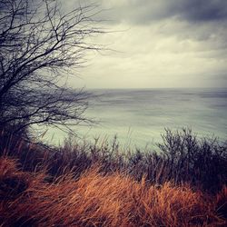 Scenic view of sea against cloudy sky