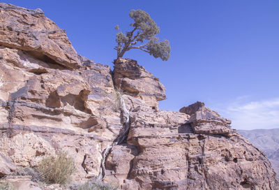 The tree roots over mountain rocks.