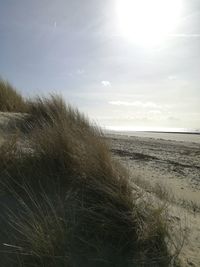 Close-up of hand on beach against sky