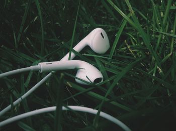 Cropped image of headphones on grass
