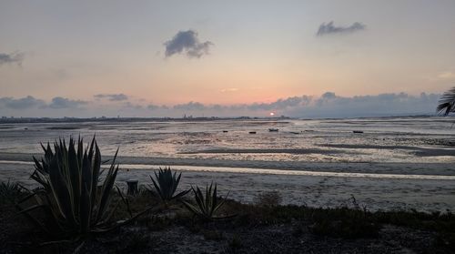 Scenic view of sea against sky during sunset