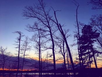 Low angle view of silhouette trees against sky