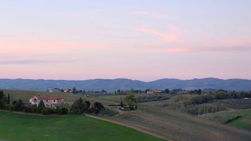 Scenic view of agricultural field against sky during sunset