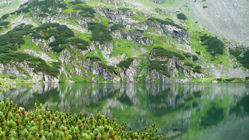 Scenic view of lake by trees against sky