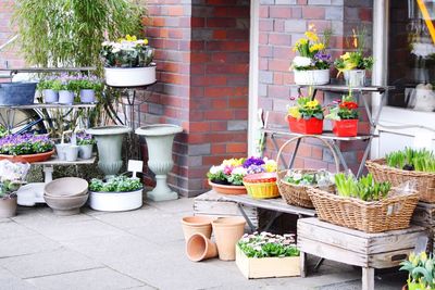 Variety of fruits for sale