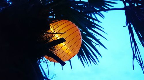 Low angle view of palm tree against blue sky