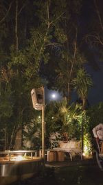 Illuminated street light by trees at night