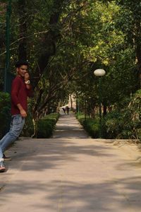 People on footpath amidst trees