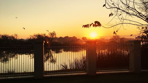 Silhouette trees by lake against sky during sunset