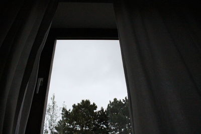 Low angle view of trees seen through window