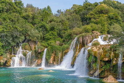 Scenic view of waterfall in forest