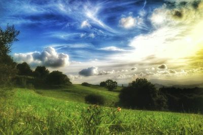 Scenic view of grassy field against cloudy sky