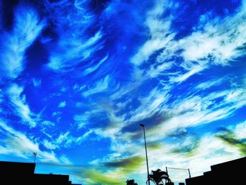 Low angle view of trees against sky