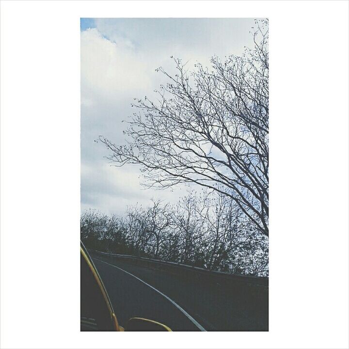 transfer print, tree, bare tree, auto post production filter, sky, tranquility, tranquil scene, landscape, nature, scenics, branch, field, road, day, no people, weather, beauty in nature, cloud - sky, fog, outdoors