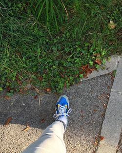 Low section of man standing on grass